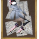 Illustration for article titled Can birds become art critics?